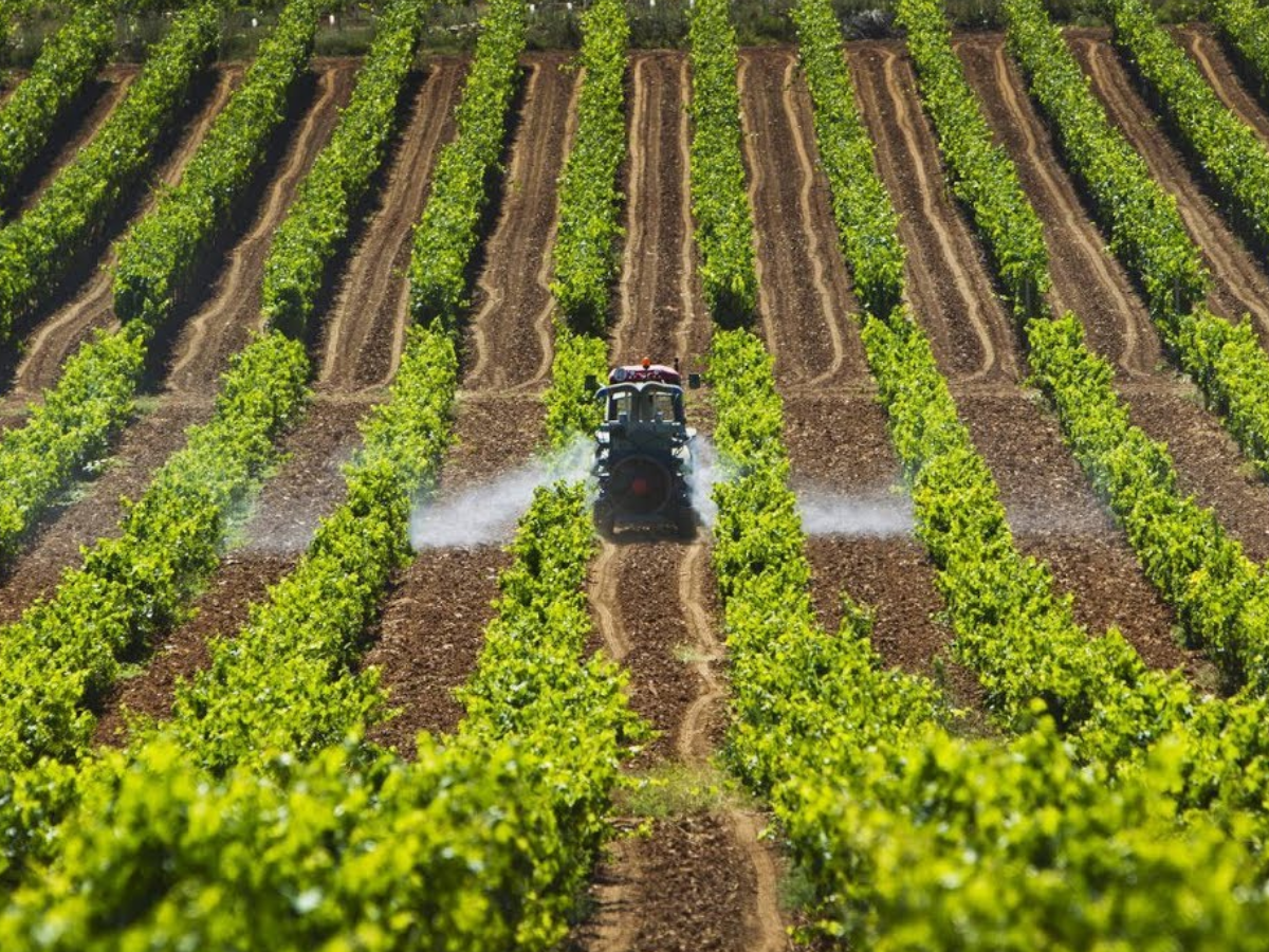 Agricultura e investimento